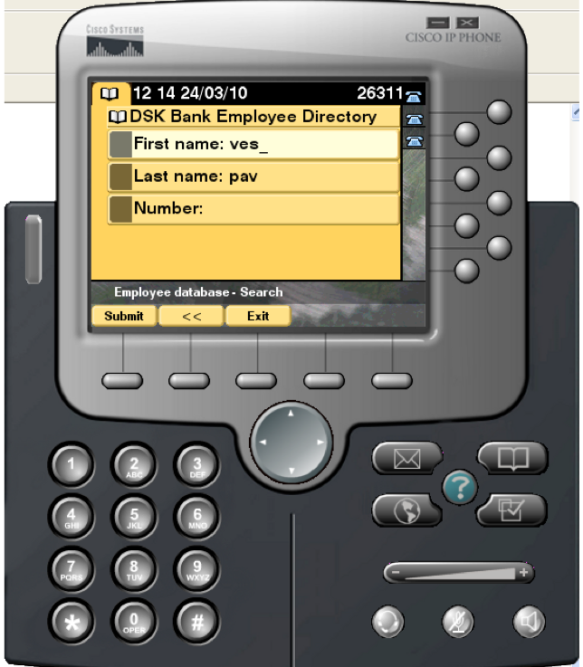 CDS IP phone interface search